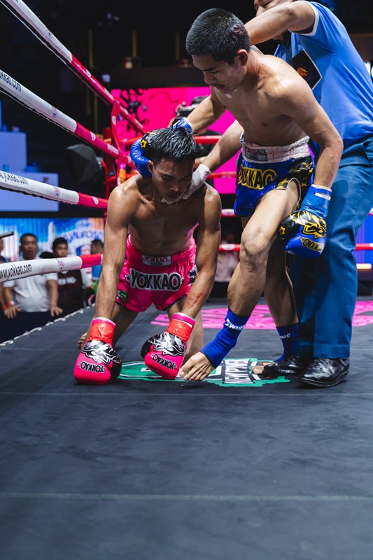 Yokkao Fight gear